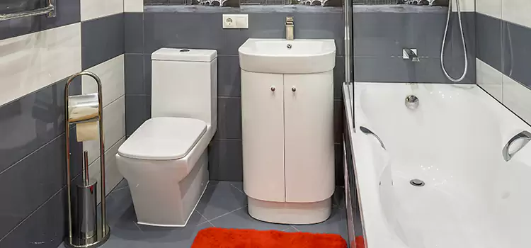 Hansgrohe Shaving Mirror Victorville